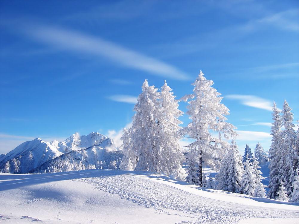 Скачать 1350x2400 зима, лес, дорога, снег, звездное небо обои, картинки  iphone 8+/7+/6s+/6+ for parallax