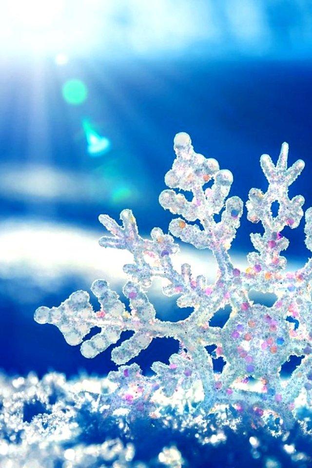 Обои \"Зима и Новый год\" на рабочий стол: самые яркие! | Christmas  wallpaper, Winter wallpaper, Christmas desktop