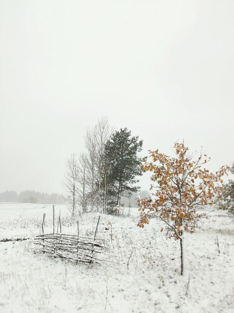 Настроение «зима»: лучшие фото природы