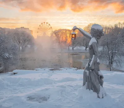 В сети появились фото пришедшей в Беларусь… зимы. У вас такая же красота?