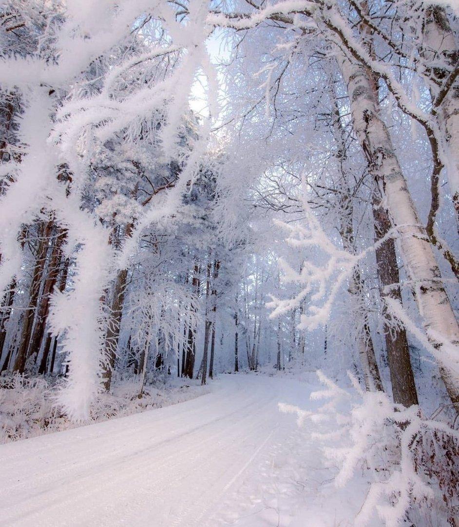 Очень красивые зимние фотографии (31 фото) » Триникси