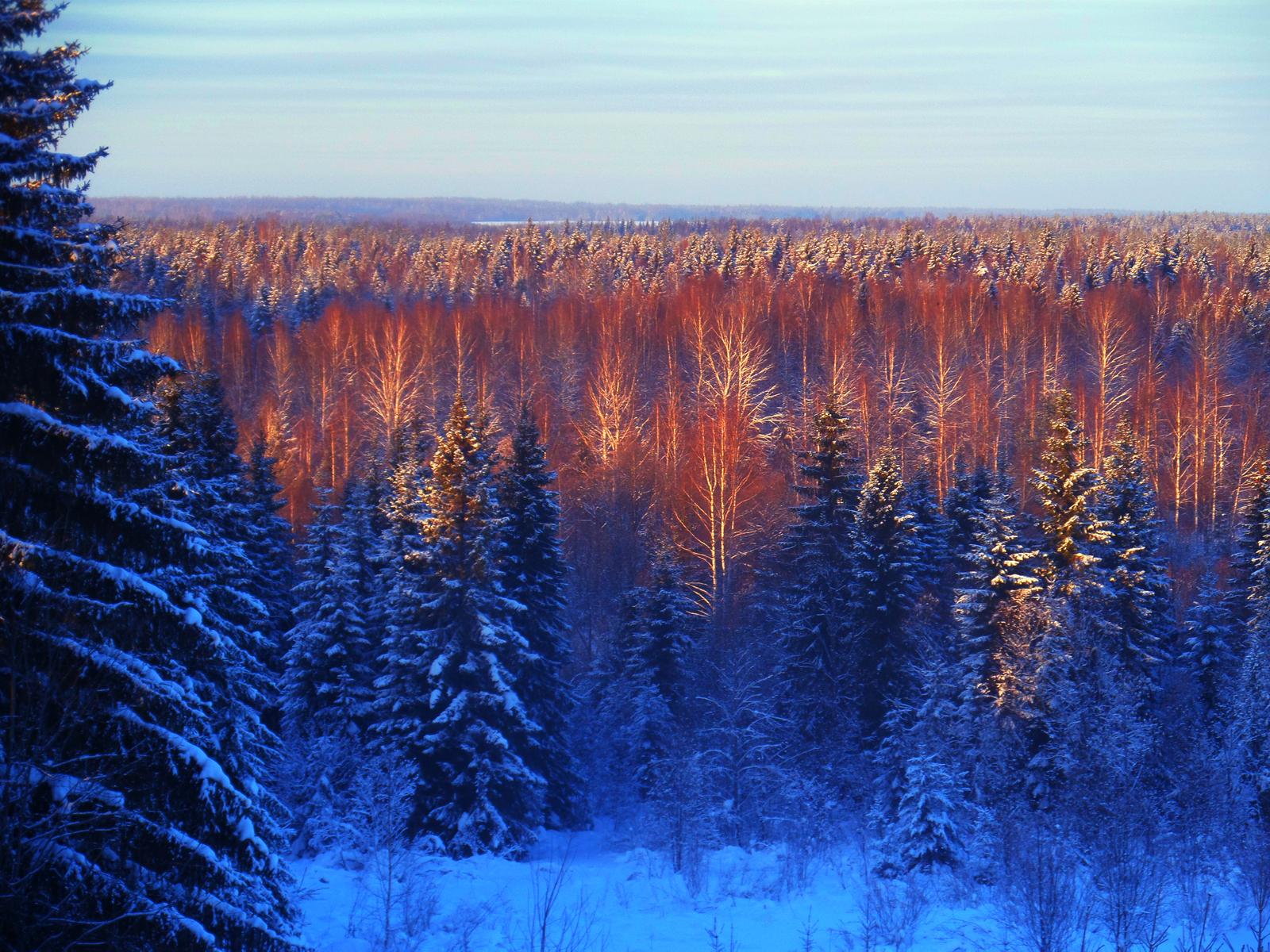 Зимний пейзаж в городе Сортавала. Республика Карелия.: pohod_vosemvrat —  LiveJournal