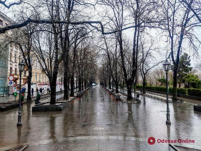 В Одессе — сильнейший ливень: улицы превратились в бурные реки  (обновляется, фото, видео) | Новости Одессы