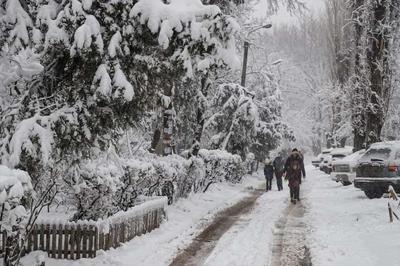 Погода в Одессе сегодня 12 декабря: температура, ветер, осадки |  Комментарии.Одесса