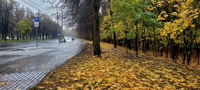 Осенний дождь в Санкт-Петербурге, …» — создано в Шедевруме