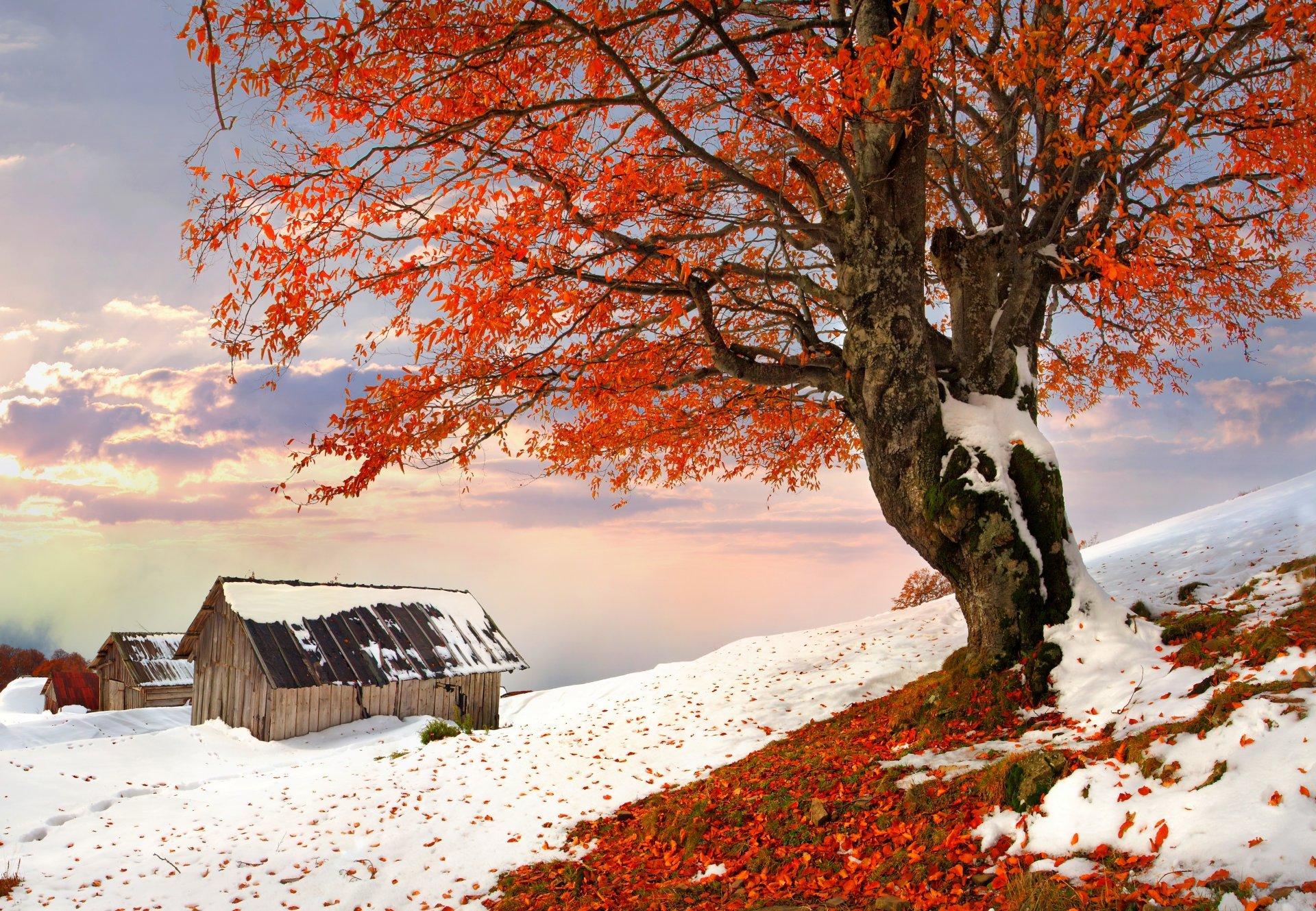 Осень зима природа (55 фото) - 55 фото