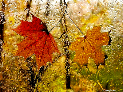 Осенний дождь фото фотографии