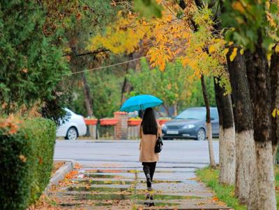Осенний дождь бежал за мной и плакал.... Обсуждение на LiveInternet -  Российский Сервис Онлайн-Дневников | Осенний пейзаж, Осенние картинки,  Пейзажи