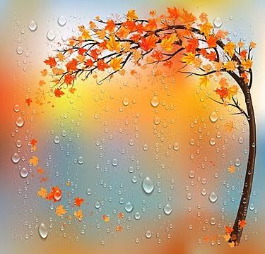 Осенний Дождь Осенние Листы на …» — создано в Шедевруме