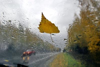 Дождь осенний. - фото автора савл на сайте Сергиев.ru