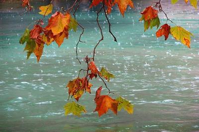 Осенний дождь Стоковая иллюстрация ©Marinka #164066328