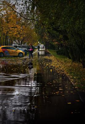 Осенний дождь. Фотограф Vera Trandina