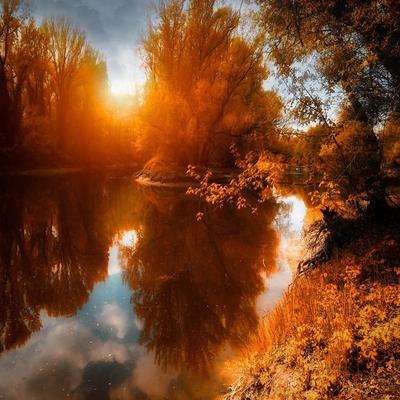 Осенний рассвет в фото» — создано в Шедевруме