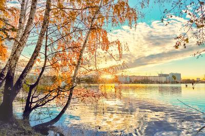 Осенний рассвет - красивые фото