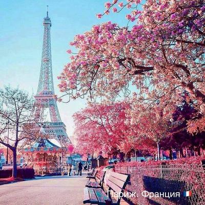 весна paris стоковое изображение. изображение насчитывающей зодчества -  14323331