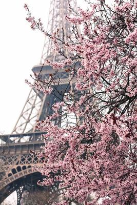 Весна – лучшее время года в Париже. Городской туризм