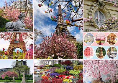 Погода в Париже весной