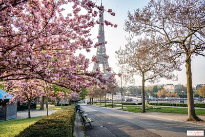 Куда сходить в Париже весной?