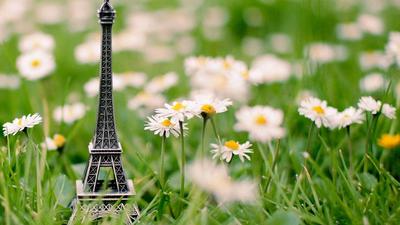 Весенний Париж очарователен. | Paris photography, Paris, Around the worlds