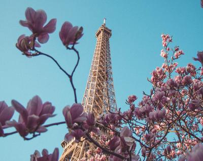 Парижская Весна - 79 фото