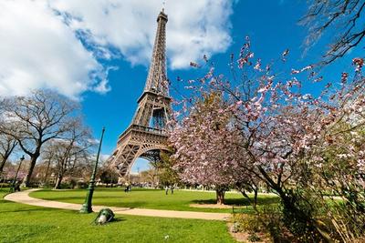Весна в душе, весна в Париже - Изображение Эйфелева башня, Париж -  Tripadvisor