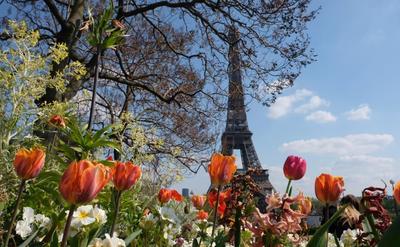 Эйфелева башня весной (46 фото) - 46 фото