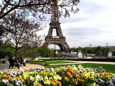 Скачать обои Франция, Париж, весна, Paris, blossom, France, spring, Eiffel  Tower, раздел город в разрешении 4724x3150