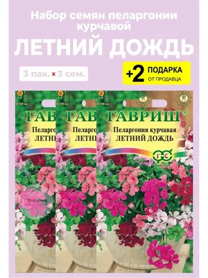 Пеларгония тюльпановидная | Сравнить цены и купить на Prom.ua