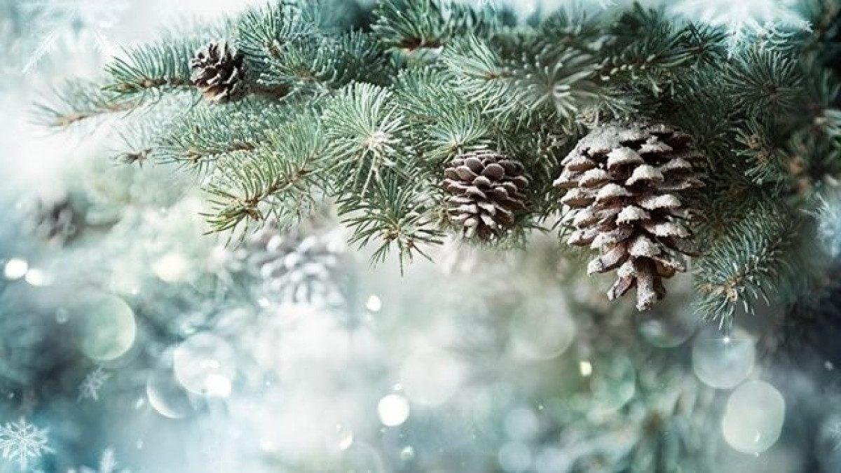 Первый день зимы — красивые поздравления на 1 декабря 2023, стихи, проза,  открытки, картинки / NV