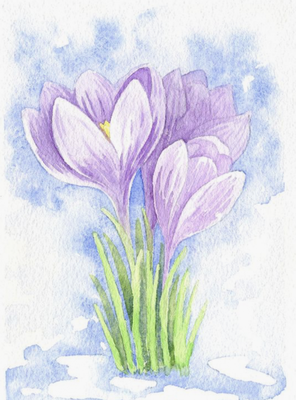 подснежники – первые цветы весны — Фото №138567