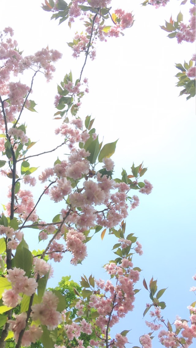 Текстильные Тюльпаны handmade - -------------------------------------- Have  a nice day 🎈 -------------------------------------- Source 📌Pinterest • # весна #spring #oilpainting #illustration #flowers #pinterest #justlove  #tulips #акварель #pinterest ...