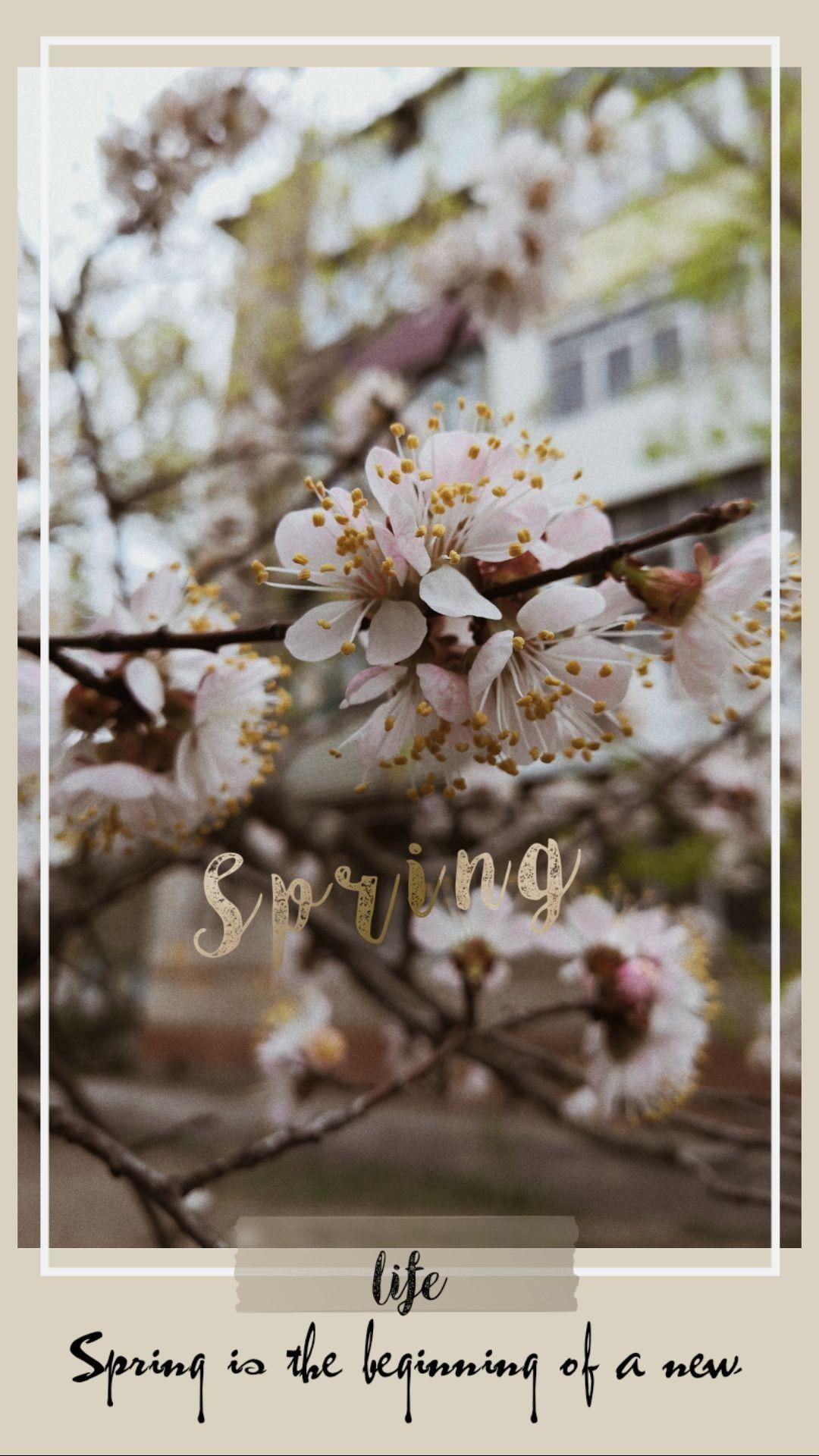весна,природа,эстетика | Весна цветение, Цветочные фоны, Весна