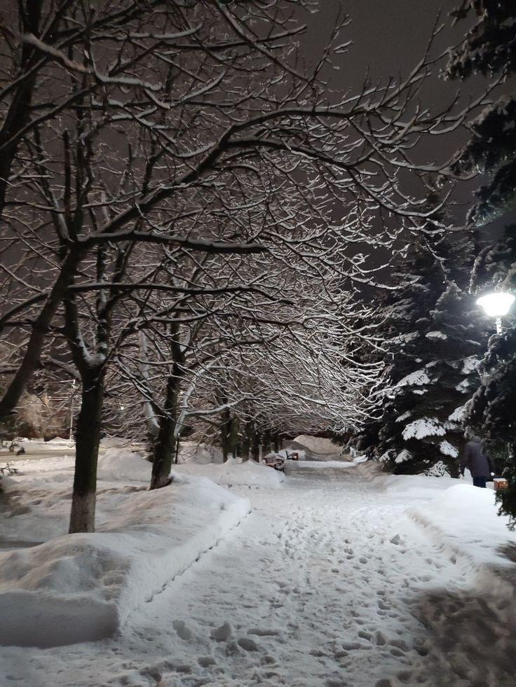 Зимний вечер | Winter, Outdoor, Snow