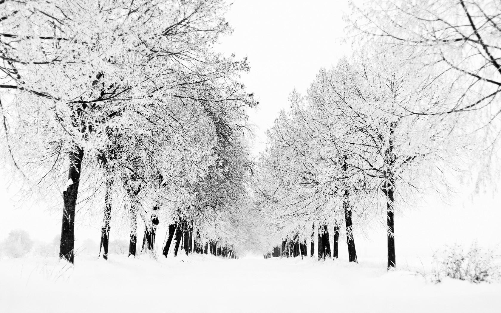 Зима - это время чудес и волшебства❄️ @pinterest | Instagram