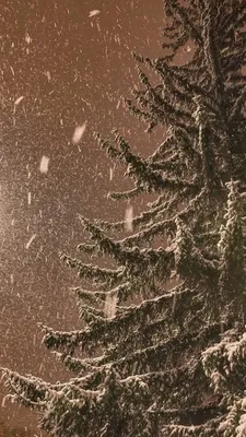 Пин от пользователя Александра Федорняк на доске Просто красиво | Зима