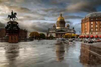 А в Питере опять дожди.... Фотограф Сергей Рехов