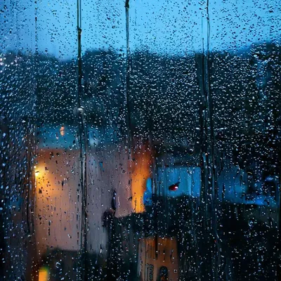 Что делать в Питере в дождь? Интересный отдых в плохую погоду в  Санкт-Петербурге - Gkd.ru