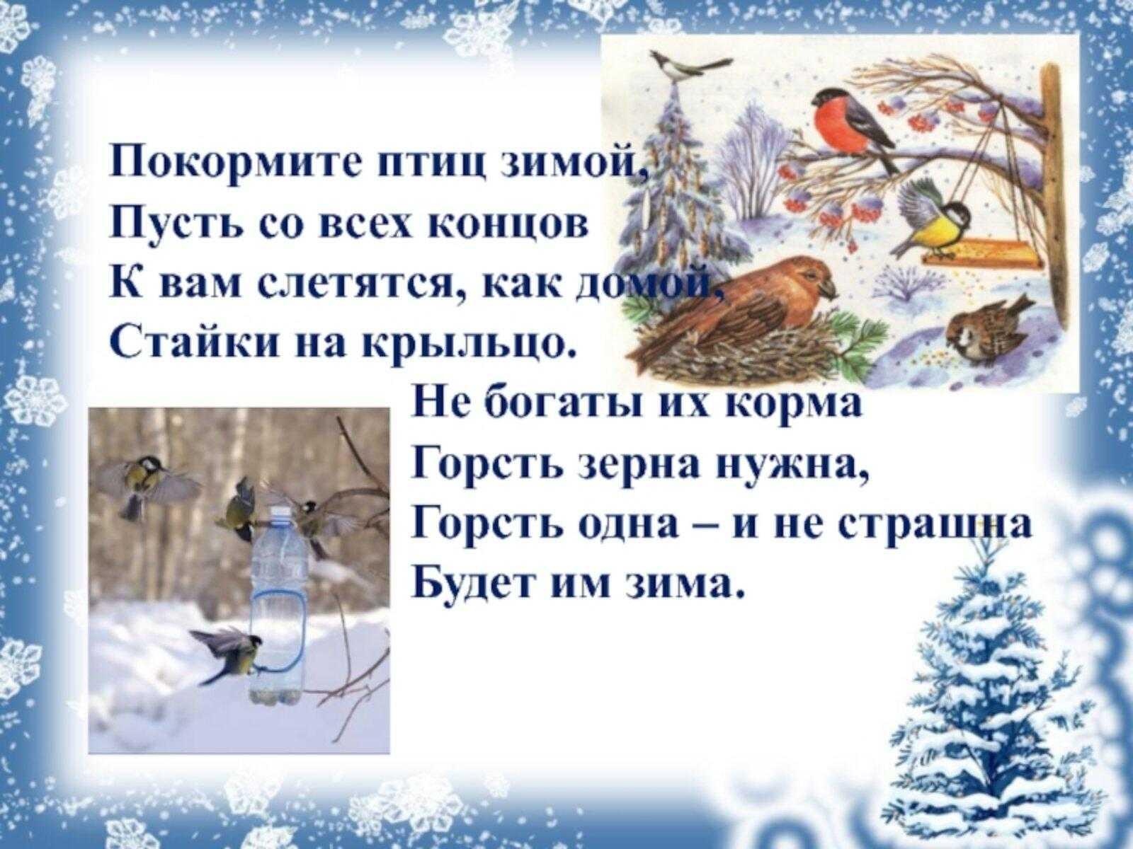 Покормите птиц зимой!»