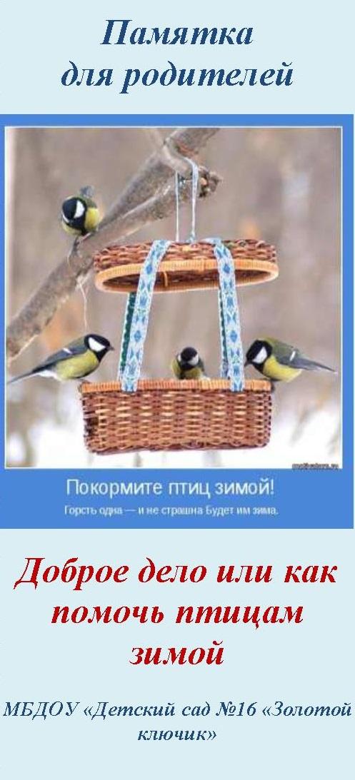 Стартует общероссийская культурно-экологическая акция «Покормите птиц!» |  Русское географическое общество