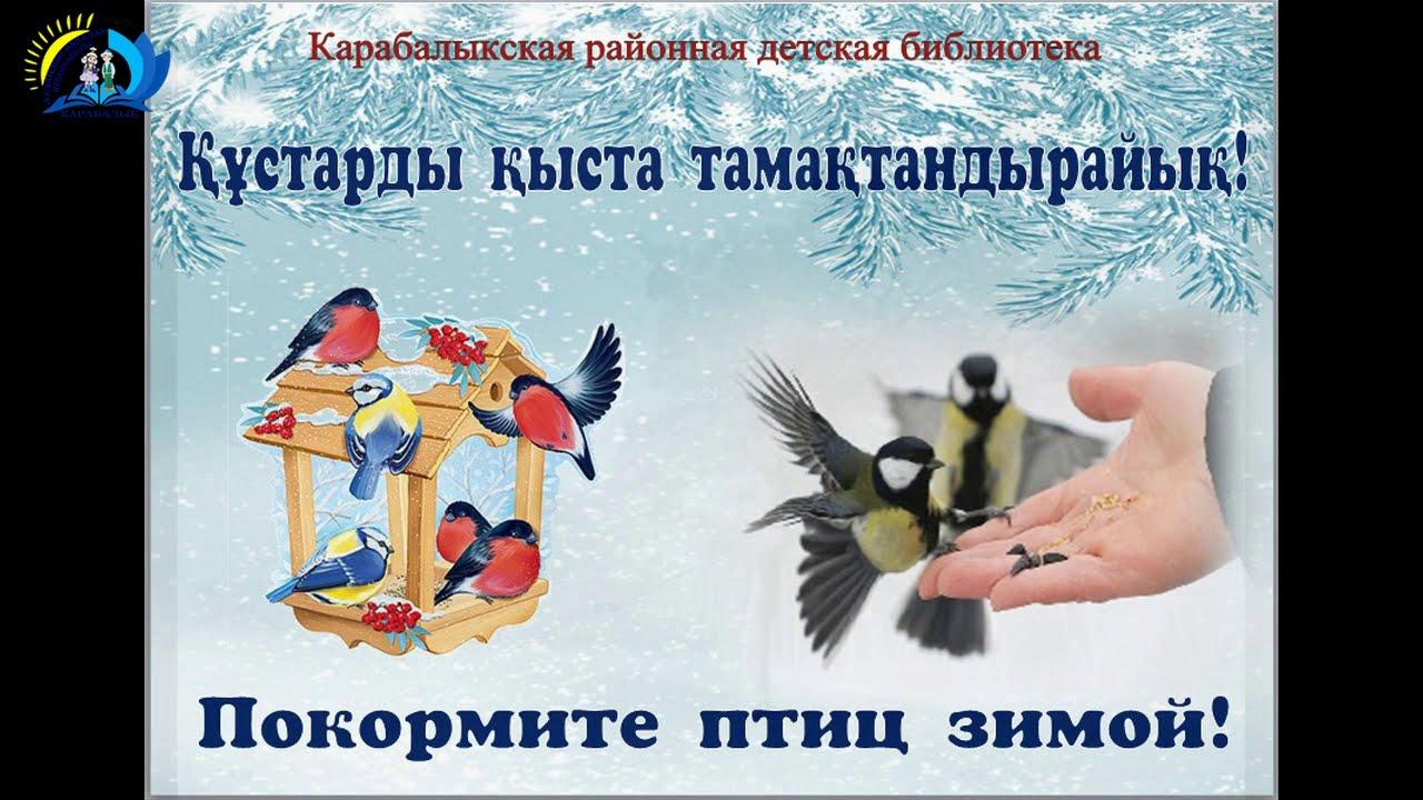 Покормите птиц зимой » Информационный портал г. Кашира