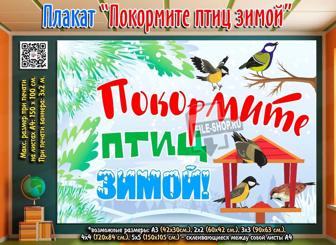 Покормите птиц зимой (1) | Сады Русского Музея