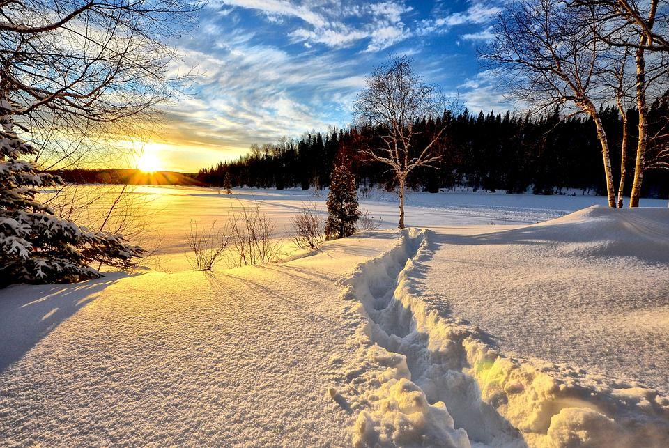 Цитаты про зиму: красивые высказывания о холодном, но красивом времени года