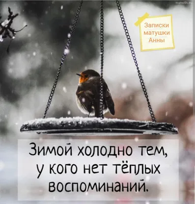 ВэтотДень #прикол#позитив#зима#like#машины# | TikTok