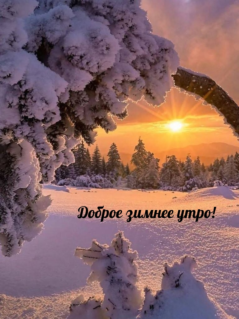 Открытки и гифки про зиму - скачайте на Davno.ru