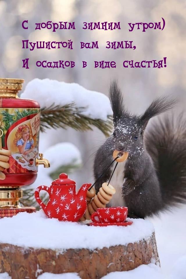 Первый день зимы 1 декабря 2020 - прикольные картинки, открытки - короткие  поздравления, смс - Апостроф