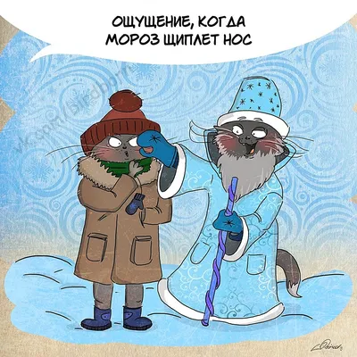 Пин от пользователя Olga Zaisanova на доске зима | Смешные открытки, Юмор о  настроении, Забавные картинки