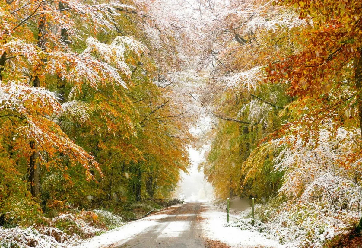Поздняя осень, ранняя зима стоковое изображение. изображение насчитывающей  ландшафт - 163343663