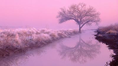 Рассвет в розовом тумане скачать фото обои для рабочего стола