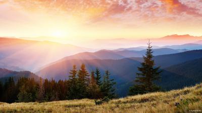 Картинки Природа Поля Утро Пейзаж рассвет и закат