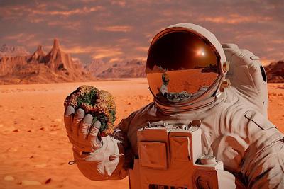 Как поселенцы будут жить на Марсе | РБК Тренды